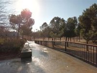 La tala de árboles en Madrid Río pone la lupa en la ampliación de la Línea 11 y colectivos cuestionan su legalidad