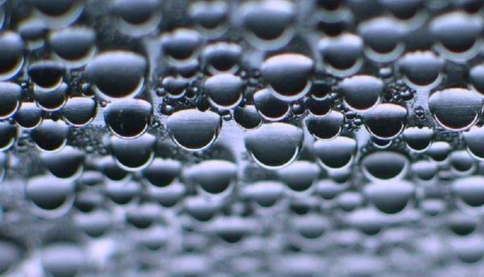 Archivo - Imagen de archivo de un proyecto europeo para obtener hidrógeno verde a partir de bacterias