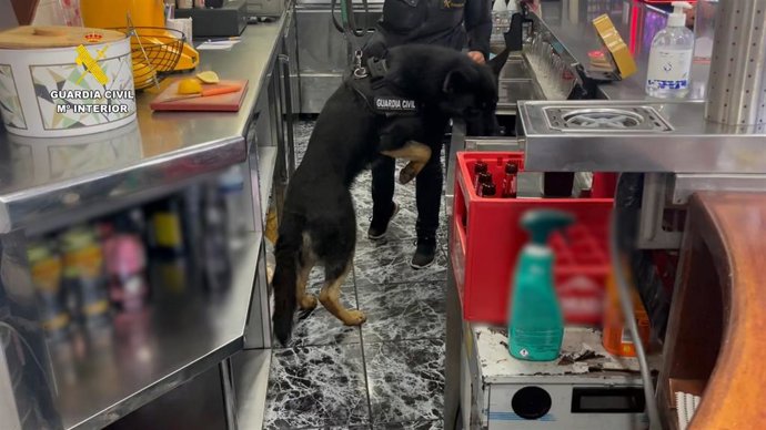 Un perro de la unidad canina de la Guardia Civil busca drogas en una de las cafeterías inspeccionadas durante el operativo