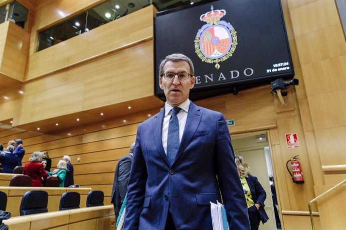 El líder del PP, Alberto Núñez Feijóo, en un pleno del Senado, a 31 de enero de 2023, en Madrid (España).