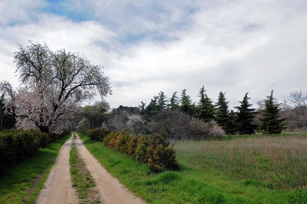 Archivo - Quinta de Torre Arias