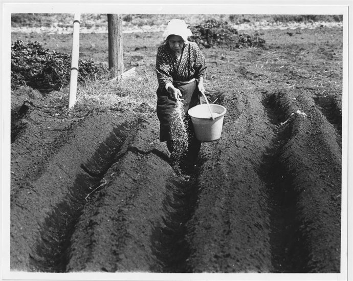 Fotograma de la película 'Kusatori kusagami' de Fukuda Katsuhiko