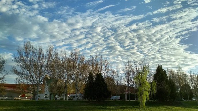 Archivo - Nubes sobre los árboles en un parque de Mérida.