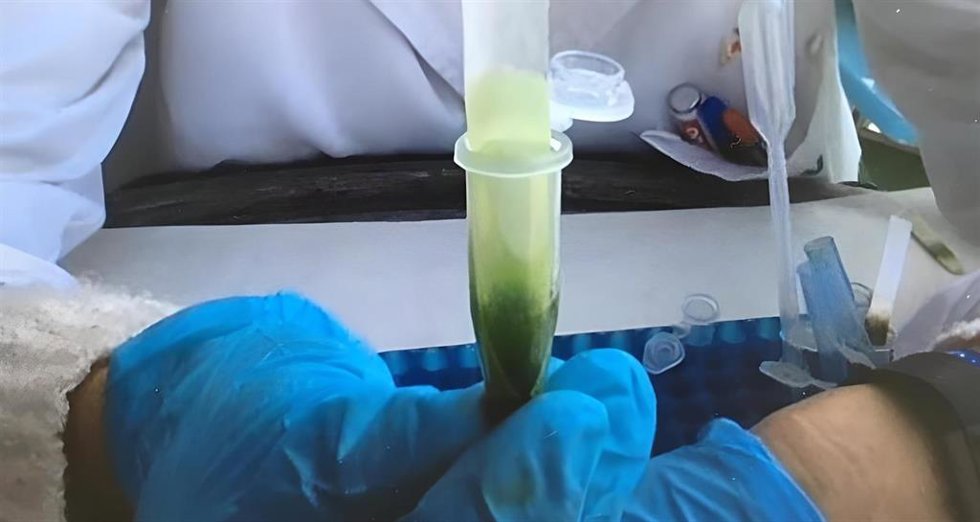 Archivo - Sevilla.-Más de 400 estudiantes sevillanos participan en un experimento científico 'online' organizado por PCT Cartuja