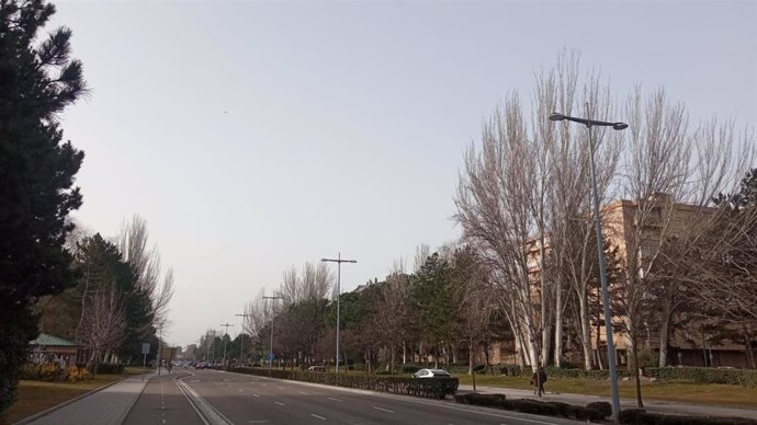 La avenida de Salamanca, en Valladolid.