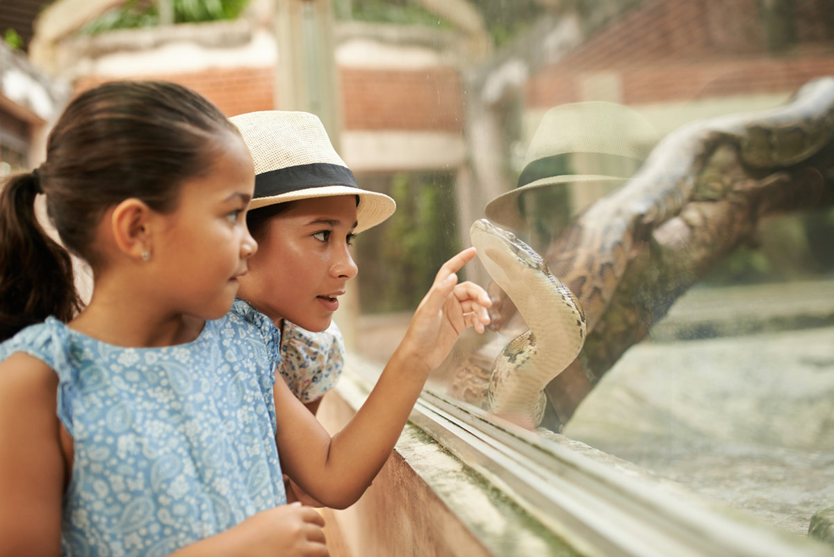 12 lugares para desarrollar la capacidad de observación de los niños