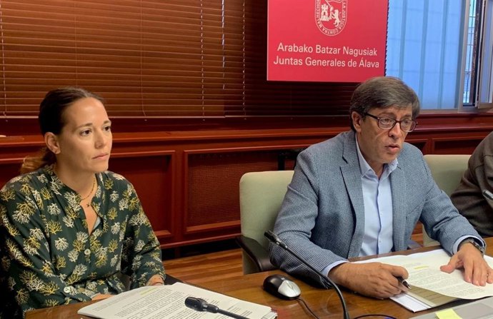 Archivo - El diputado de Infraestructuras Viarias y Movilidad, Carlos Ibarlucea