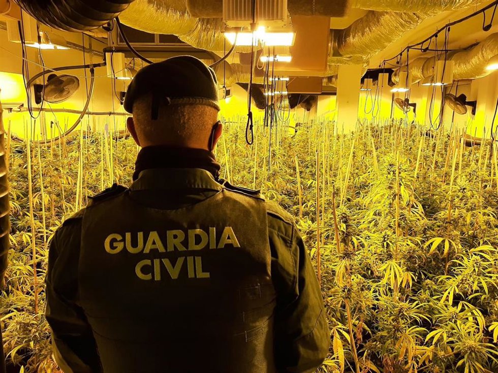 Marihuana incautada por Guardia Civil en imagen de archivo.