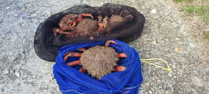 Interceptados en Vigo tres furtivos con casi siete kilos de centollas y dos kilos de almejas.