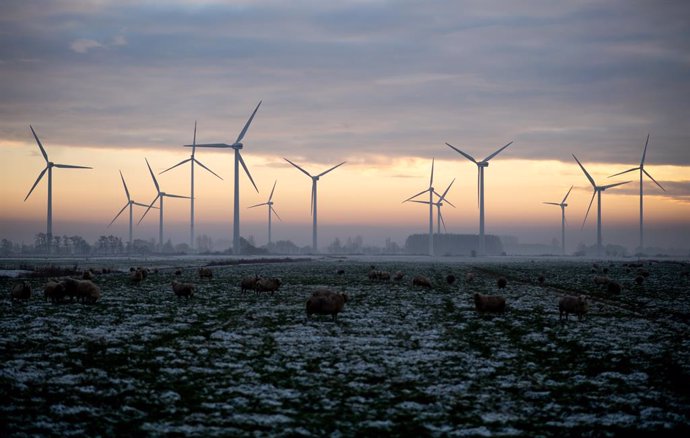 Archivo - 16 December 2022, Lower Saxony, Ovelgoenne: Sheep stand in a snow-covered pasture in the Oldenbrok district, while the setting sun bathes the sky behind wind turbines on the horizon in a warm light. Photo: Hauke-Christian Dittrich/dpa