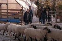 Tremendo error en el último capítulo de The Last of Us y los fans se burlan: “No es de HBO si no se cuela algo así"