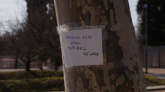 Vídeo de la noticia