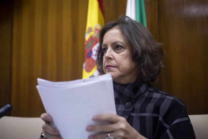 La consejera de Salud y Consumo, Catalina García, en una imagen de archivo de una comparecencia parlamentaria en comisión.