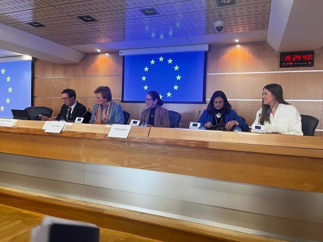 La vicepresidenta primera y consejera de Hacienda y Administración Pública, Pilar Blanco-Morales, ante los eurodiputados de la Comisión de Control Presupuestario del Parlamento Europeo que visita España.