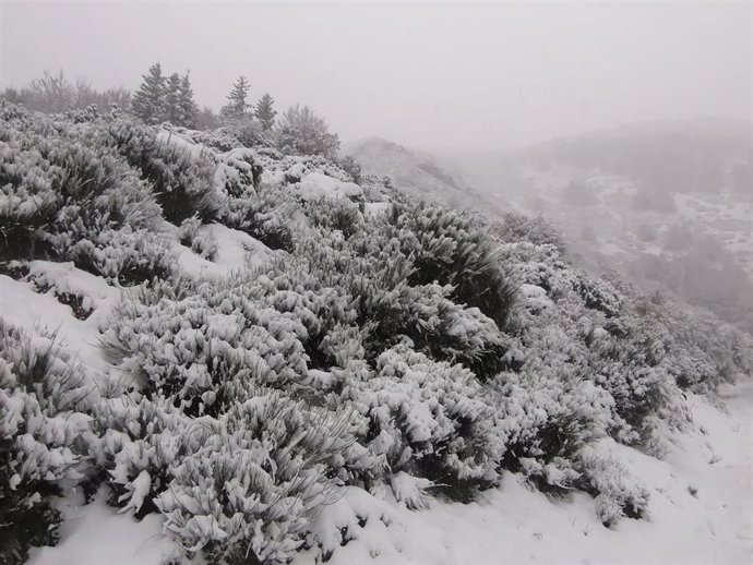 Archivo - Nieve en los montes de Ezcaray en La Rioja