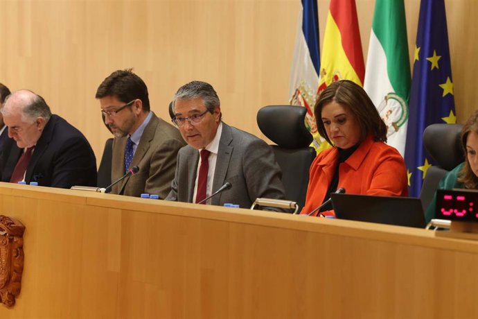 Un momento de la sesión plenaria ordinaria del mes de febrero.