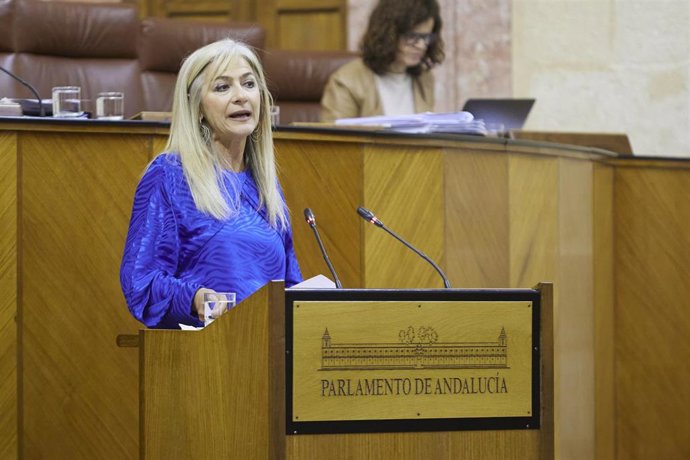 La consejera de Desarrollo Educativo y Formación Profesional, Patricia del Pozo, este miércoles en el Pleno del Parlamento.