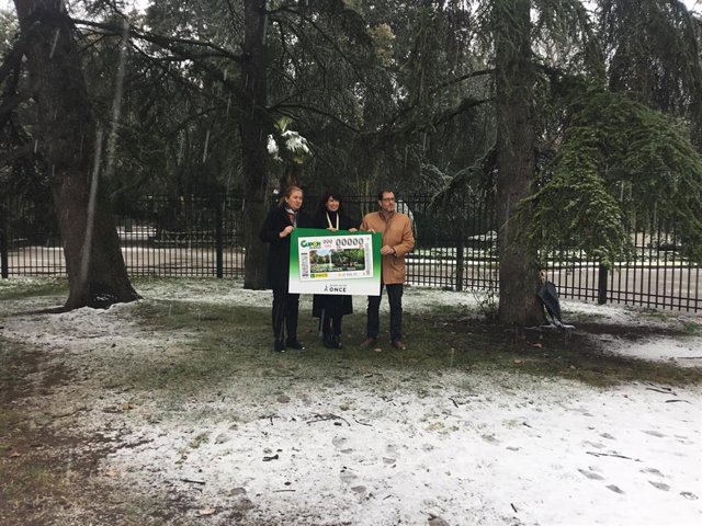 Ndp El Cupón De La Once Difunde Campo Grande, El Parque Urbano Más Extenso De Valladolid.