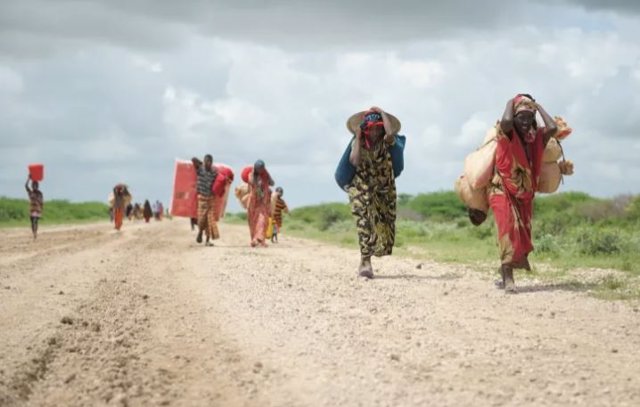 Migración forzada de población en Somalia