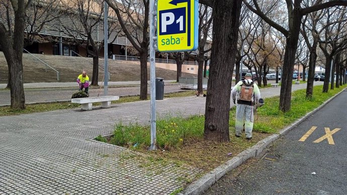 Tareas de desbroce de Parques y Jardines, servicio del Ayuntamiento de Sevilla.