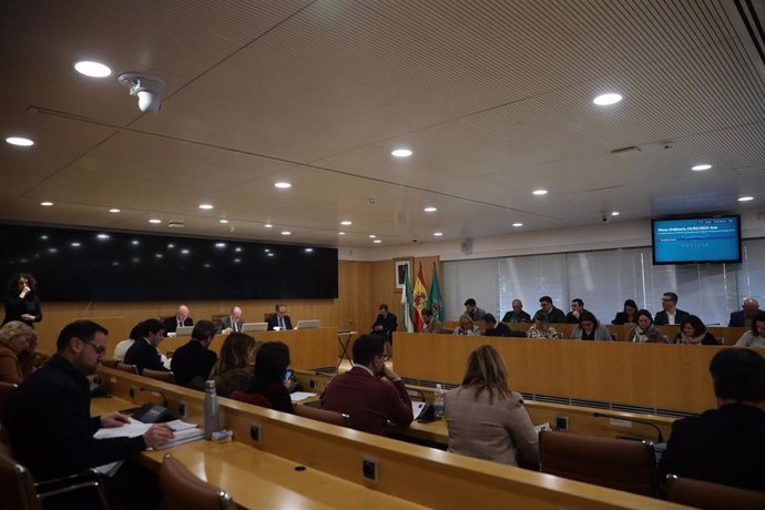 Pleno ordinario en la Diputación de Sevilla.