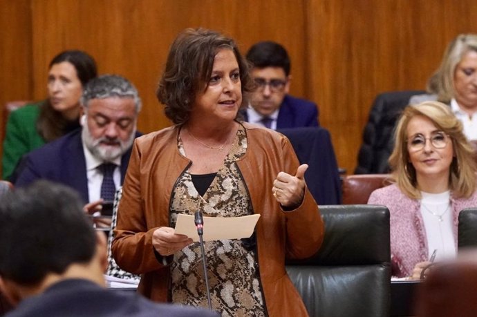 García destaca en el Parlamento el "aumento" del gasto sanitario por habitante en Andalucía