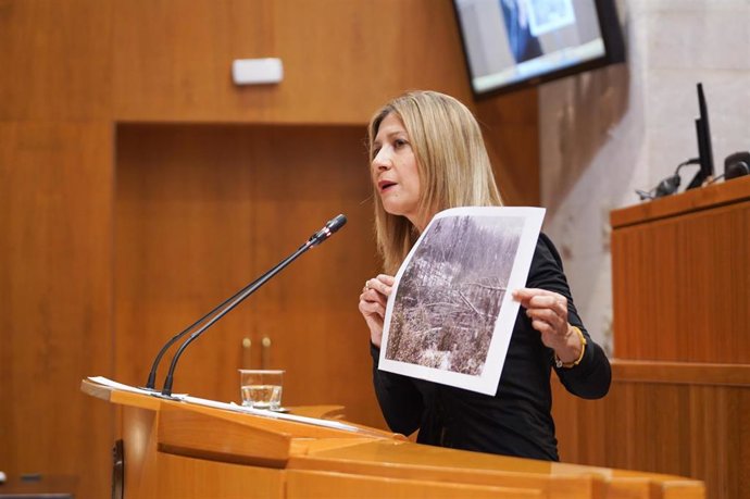 La portavoz del PP Aragón, Mar Vaquero.