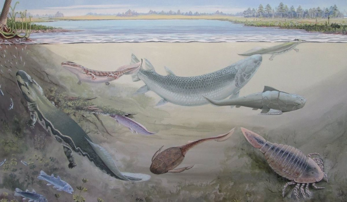 Nueva especie fósil de pez gigante que devoró a nuestros ancestros