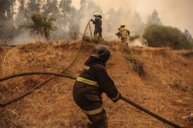 Tareas de extinción de incendios en Nacimiento, en la región de Biobío (Chile)