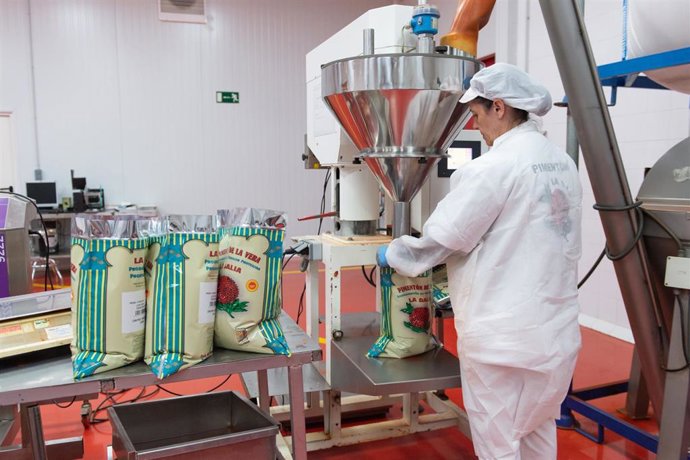 Archivo - Una trabajadora en la fábrica La Dalia, a 28 de noviembre de 2022, en La Vera, Cáceres (España). 