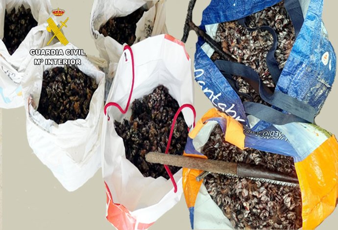 Rdo. Nota De Prensa Guardia Civil (Interceptados 6 Furtivos E Intervenidos 45 Kilos De Percebes)