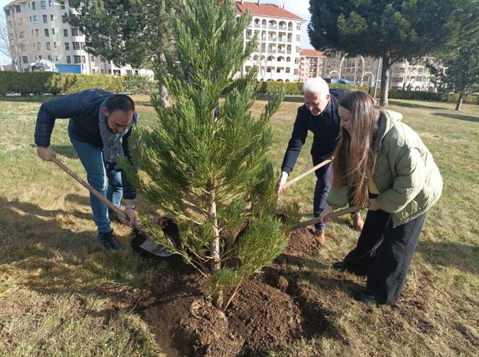 Plantación de secuoyas en el paseo Jerónimo Jiménez
