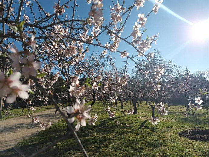 Vídeo de la noticia