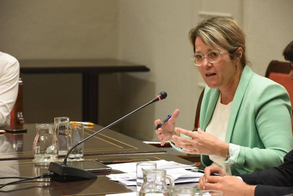 Archivo - La consejera de Agricultura, Ganadería y Pesca del Gobierno de Canarias, Alicia Vanostende, en comisión parlamentaria