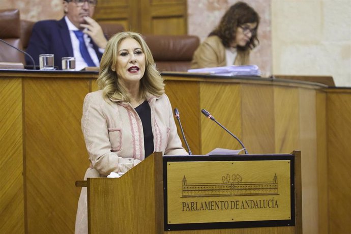 La consejera de Economía, Hacienda y Fondos Europeos, Carolina España, en una imagen de archivo en el Pleno del Parlamento. 