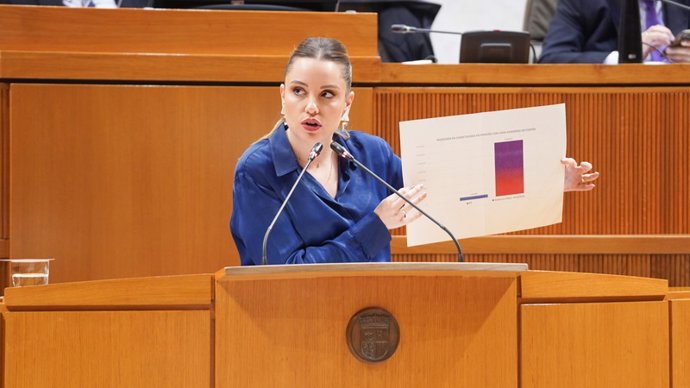 La consejera de Ciencia, Universidad y Sociedad del Conocimiento del Gobierno de Aragón, Maru Díaz, durante su intervención en el pleno.
