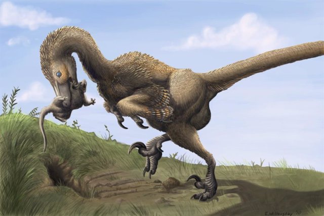 Saurornitholestes