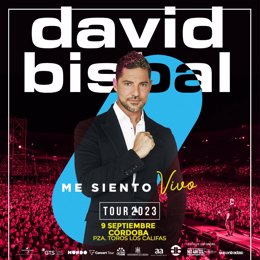 Cartel del concierto de David Bisbal en Córdoba.