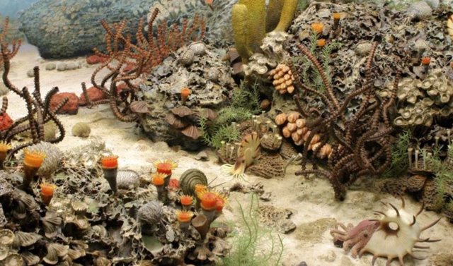 El fondo marino durante el Pérmico antes de la "Gran Mortandad", la mayor extinción masiva de la historia de la Tierra.