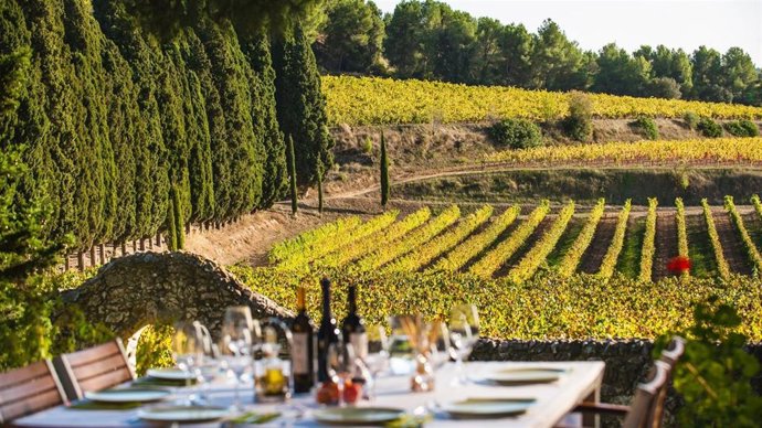 El Govern impulsa 32 proyectos "de referencia" europea en turismo enogastronómico