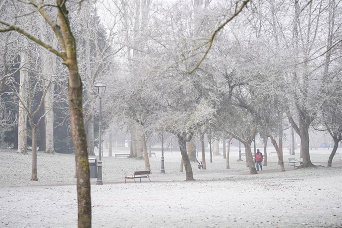 Árboles cubiertos de nieve, a 9 de febrero de 2023, en Vitoria-Gasteiz, Álava, País Vasco (España). 