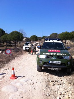 Archivo - Agentes Forestales Control