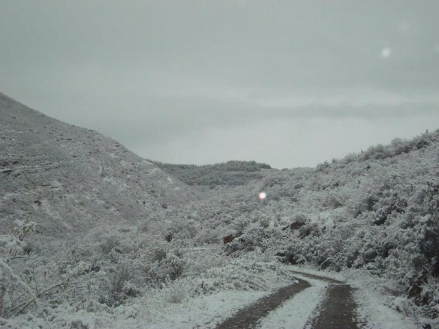 Archivo - Nieve en La Rioja
