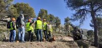 La Junta invierte cerca de 550.000 euros en tratamientos selvícolas preventivos en Sierra María-Los Vélez (Almería)