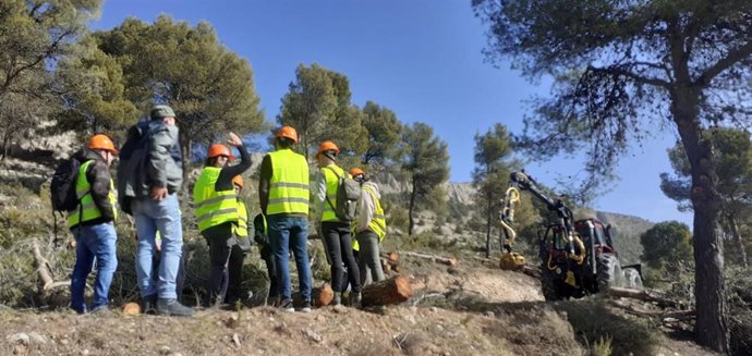 Tratamiento selvícola preventivo en Sierra María-Los Vélez