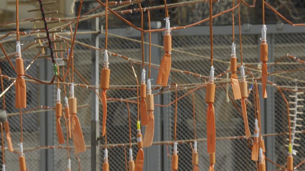 Valencia dispara la primera masclet de la Fallas de 2023