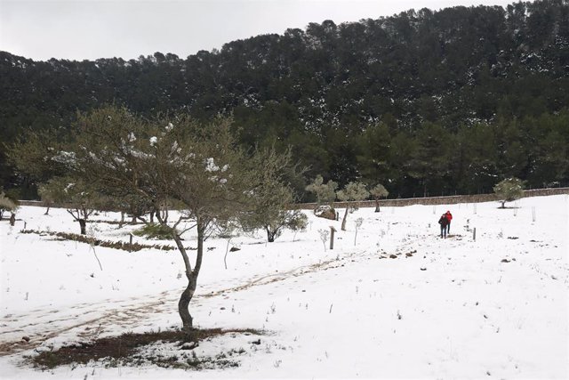 Archivo - Restos de nieve en en la Serra de Tramuntana, a 23 de enero de 2023, en Mallorca, Islas Baleares (España). 