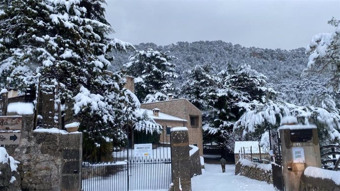 Archivo - Nieve en el Centre Forestal (CEFOR) de Menut, de Xarxa Forestal (enero de 2023).