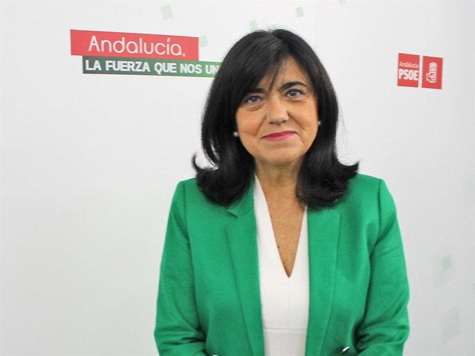 Archivo - La diputada provncial del PSOE Francisca Medina.