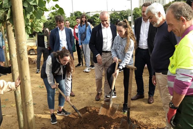 El alcalde de Sevilla, Antonio Muñoz, en una de las plantaciones de árboles en la capital andaluza.